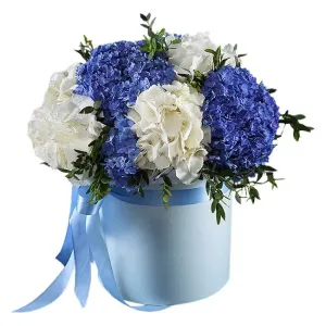 Милая кудряшка